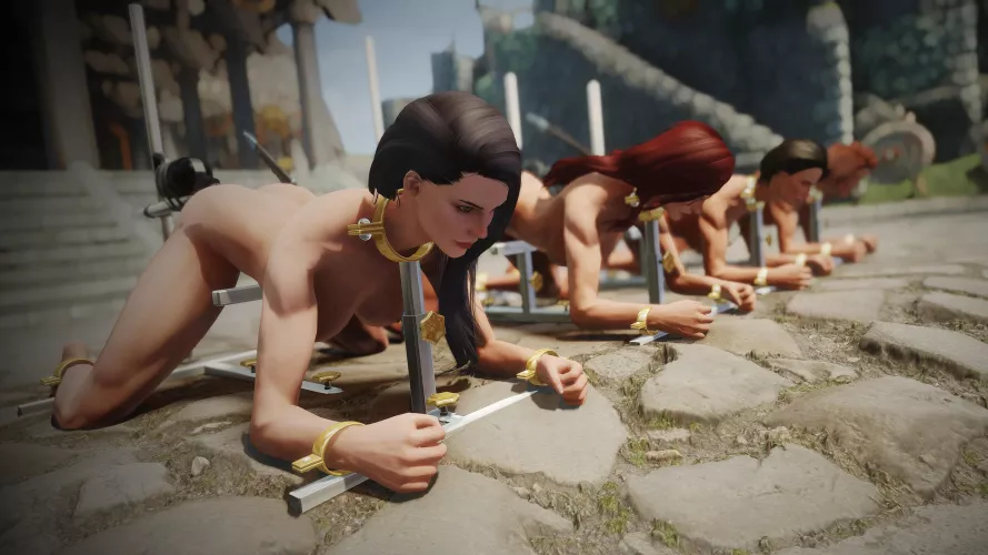 Special companions training 