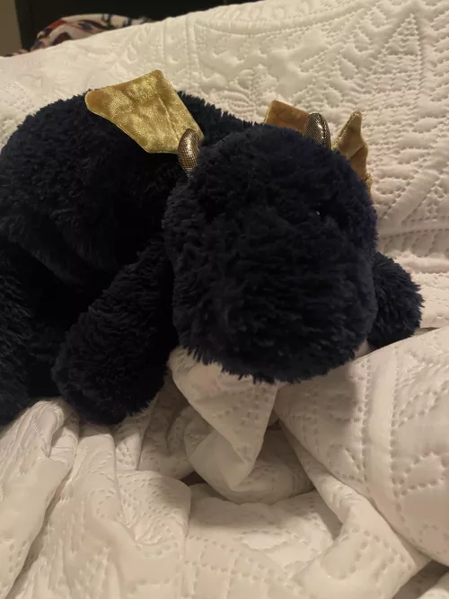 Staying safe from the hurricane. 