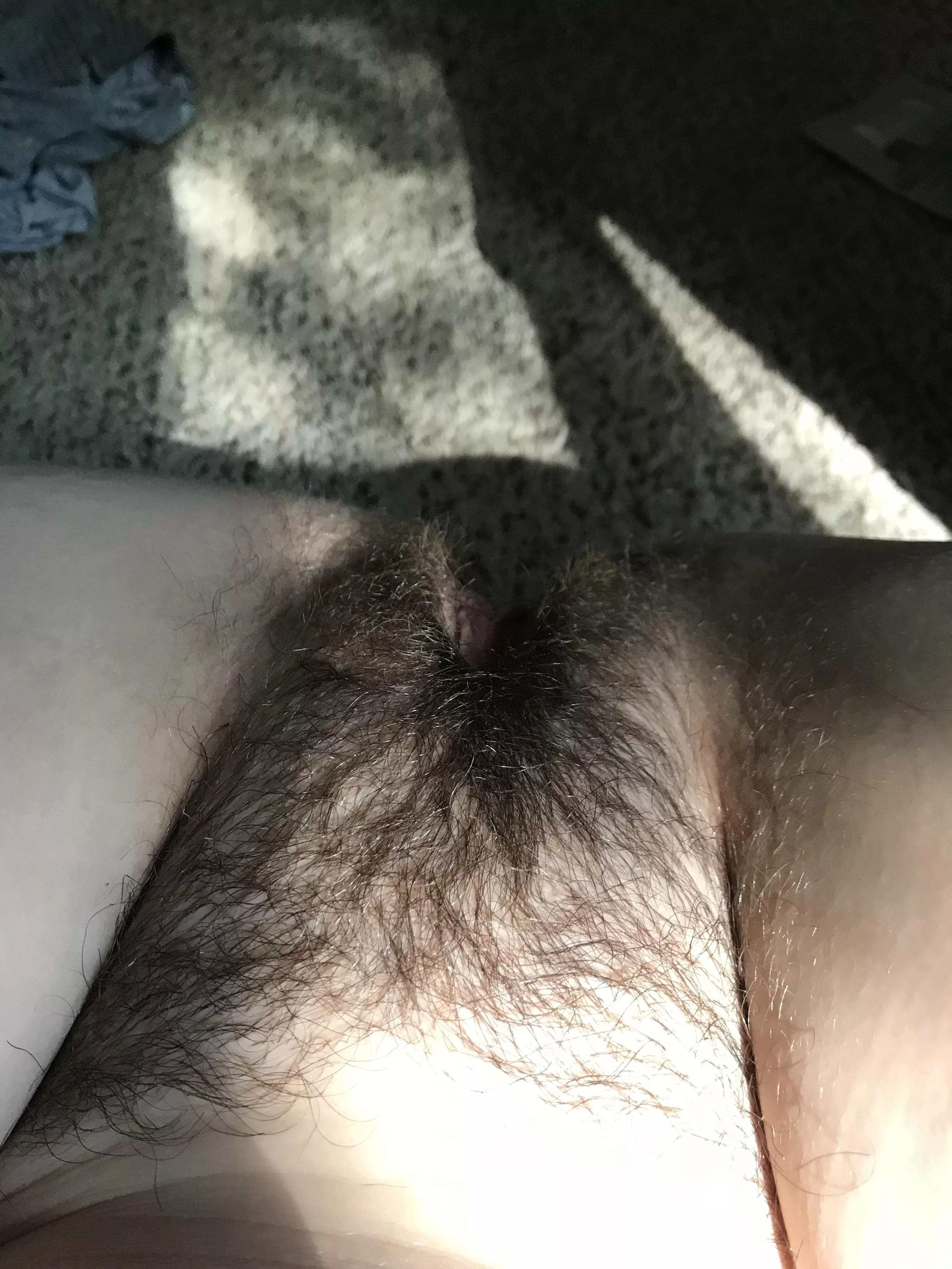 Wifey or gf type of bush?