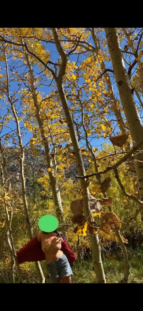 Feeling small among the trees