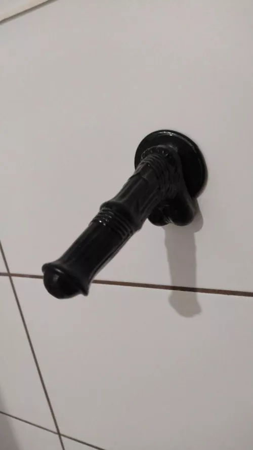 Got some time alone with my small horse dildo looking to getting a new one and bigger