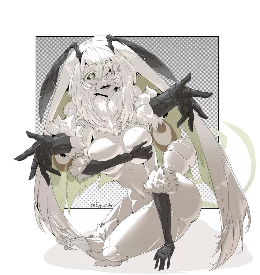 Moth girls my beloved 