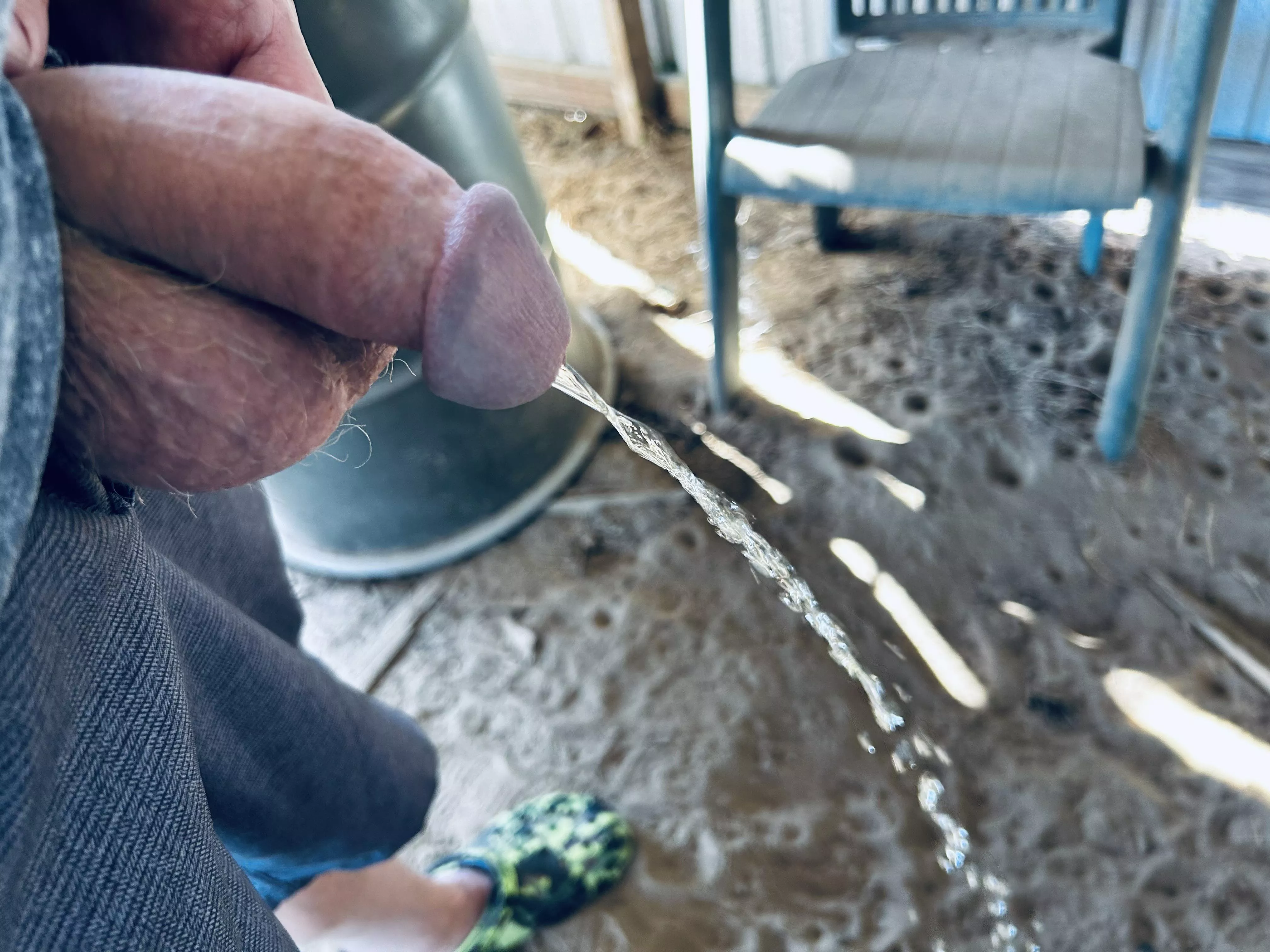 Pissing I’m the barn 