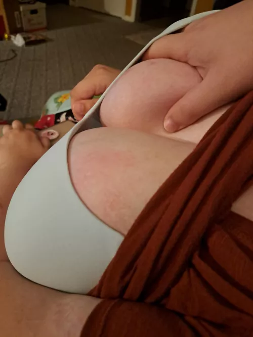 Sent this to her hubby after she came over for a breeding session. How many of you have had your wives bred?