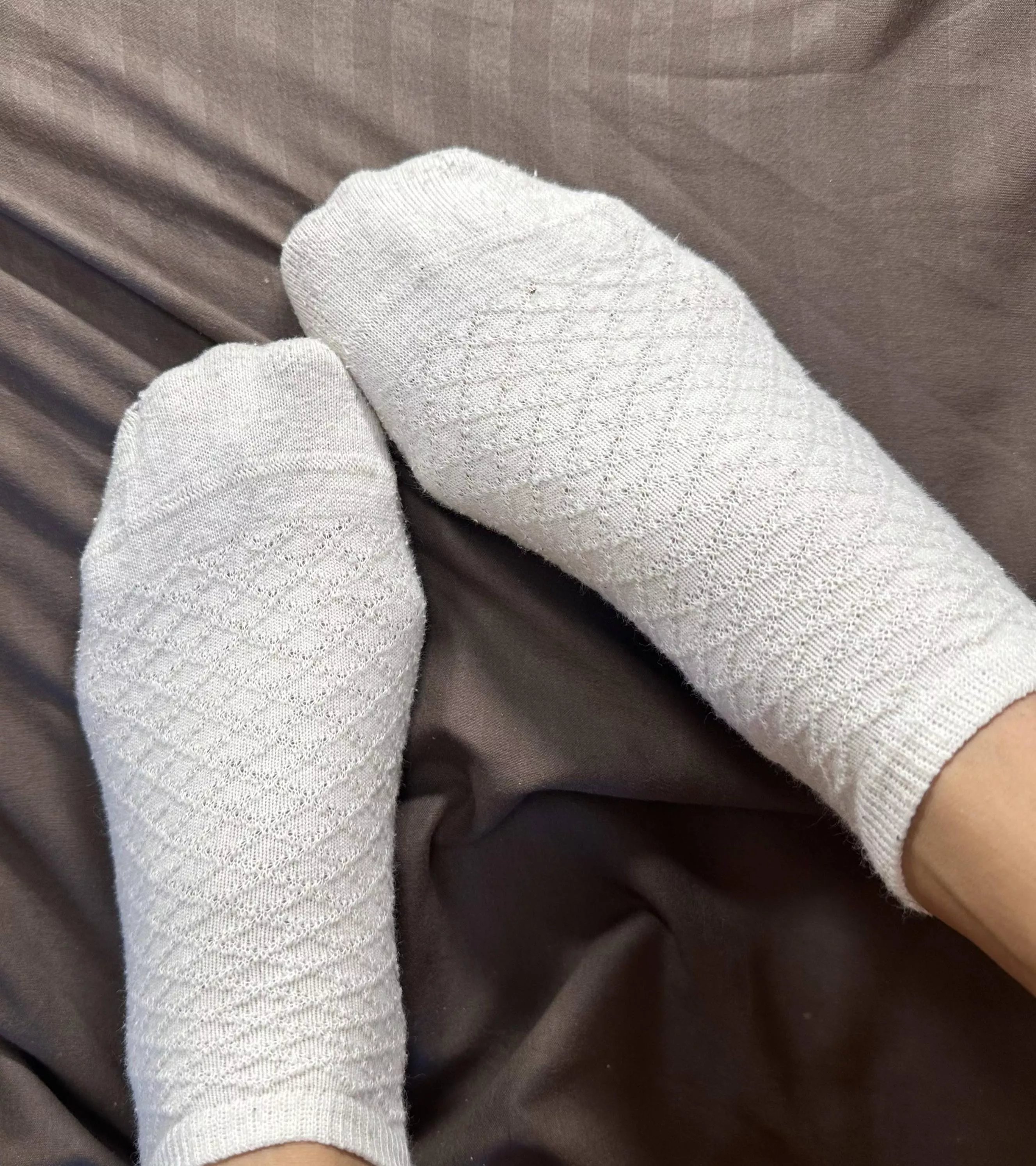 Would you enjoy my feet on your face