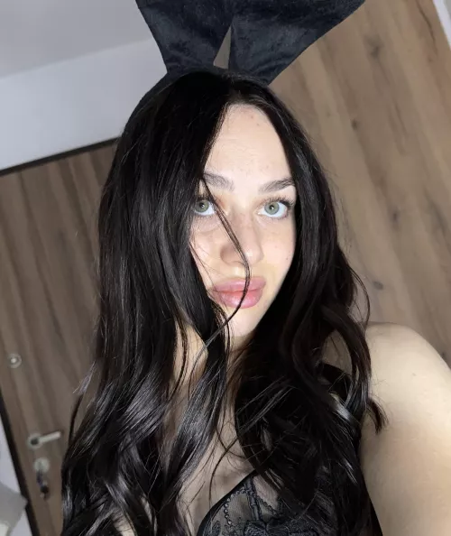 your rabbit wants to have some fun
