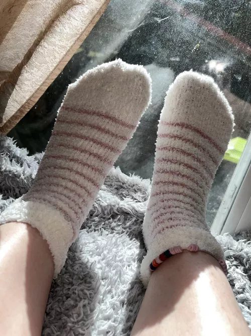 FF : ssweetfeet24