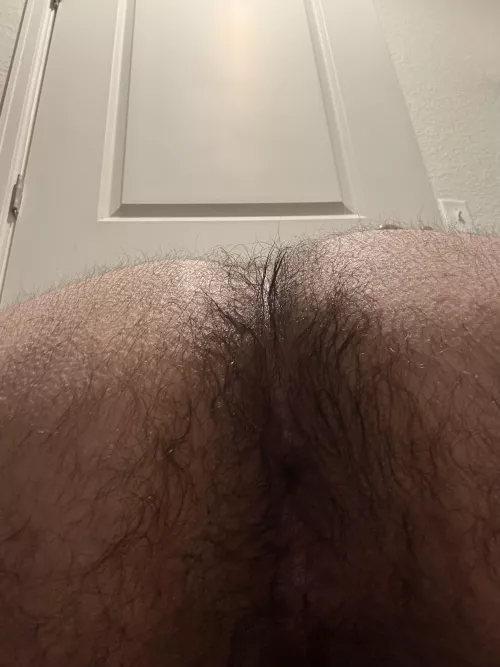 Hairy