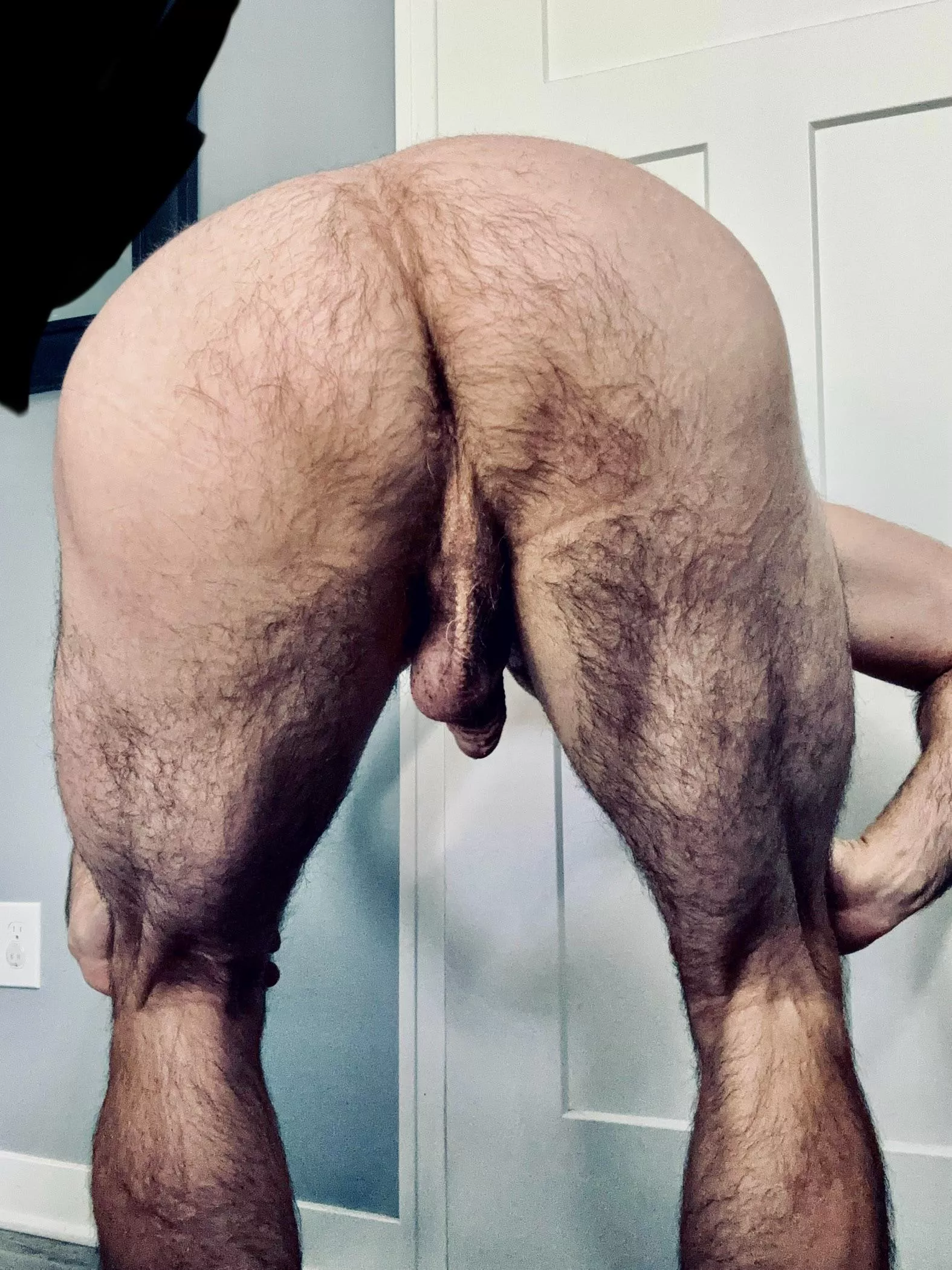 Hairy man ass 