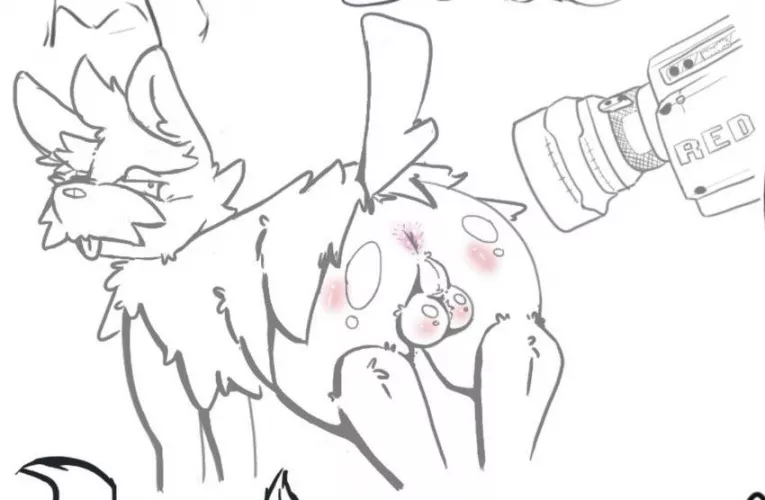 Herdier showing his jewels (aztepyeen) [M]