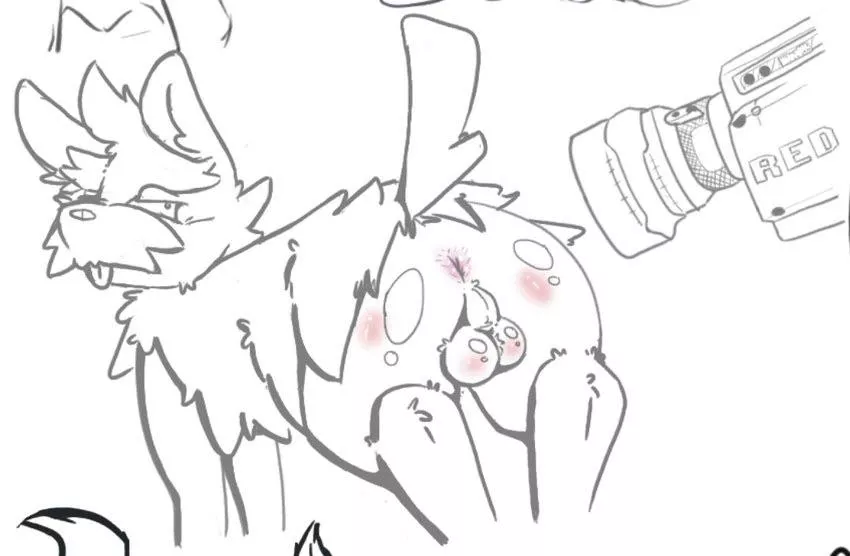 Herdier showing his jewels (aztepyeen) [M]