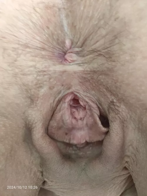 Pussy that needs 9 inches 