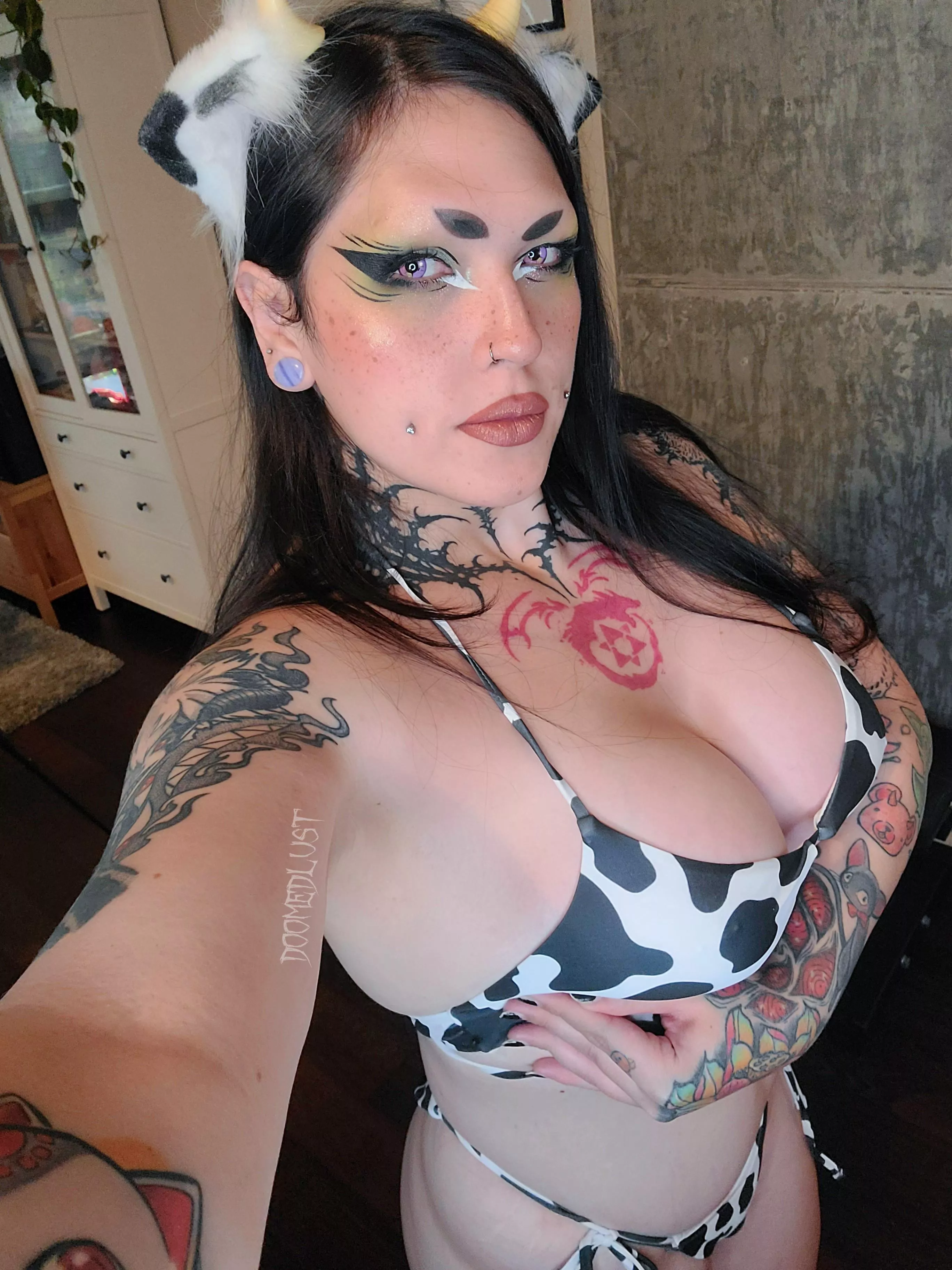 Ready for my daily milking!! 🐄