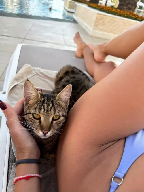 She has a stunning kitty, right 😂 ? 