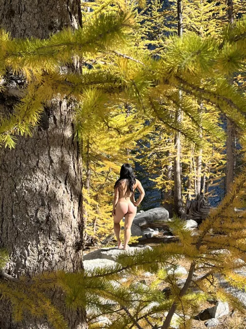 When you go larch hunting, you might be surprised with what else you find out there