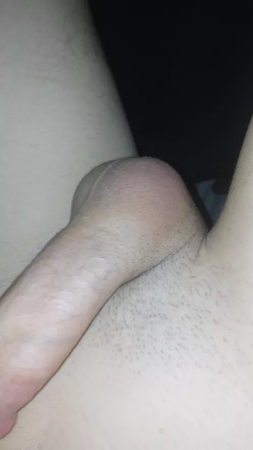 [19] my balls
