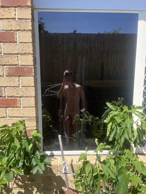 Doing the washing, watering the plants. Happy long weekend 