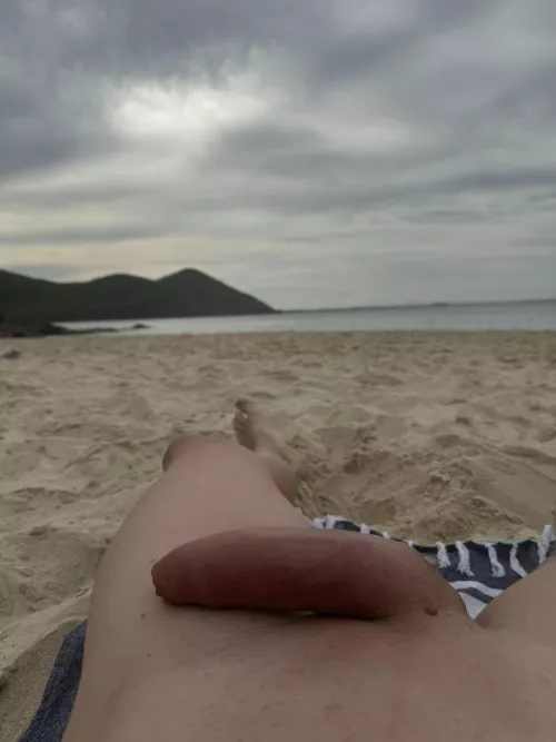 Great day for the beach 