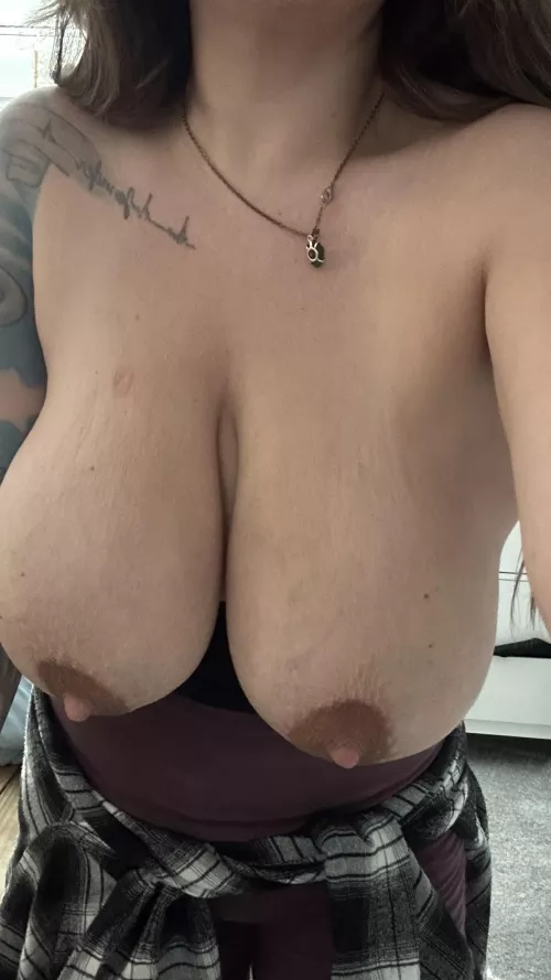 No face needed this time for these big milkers 