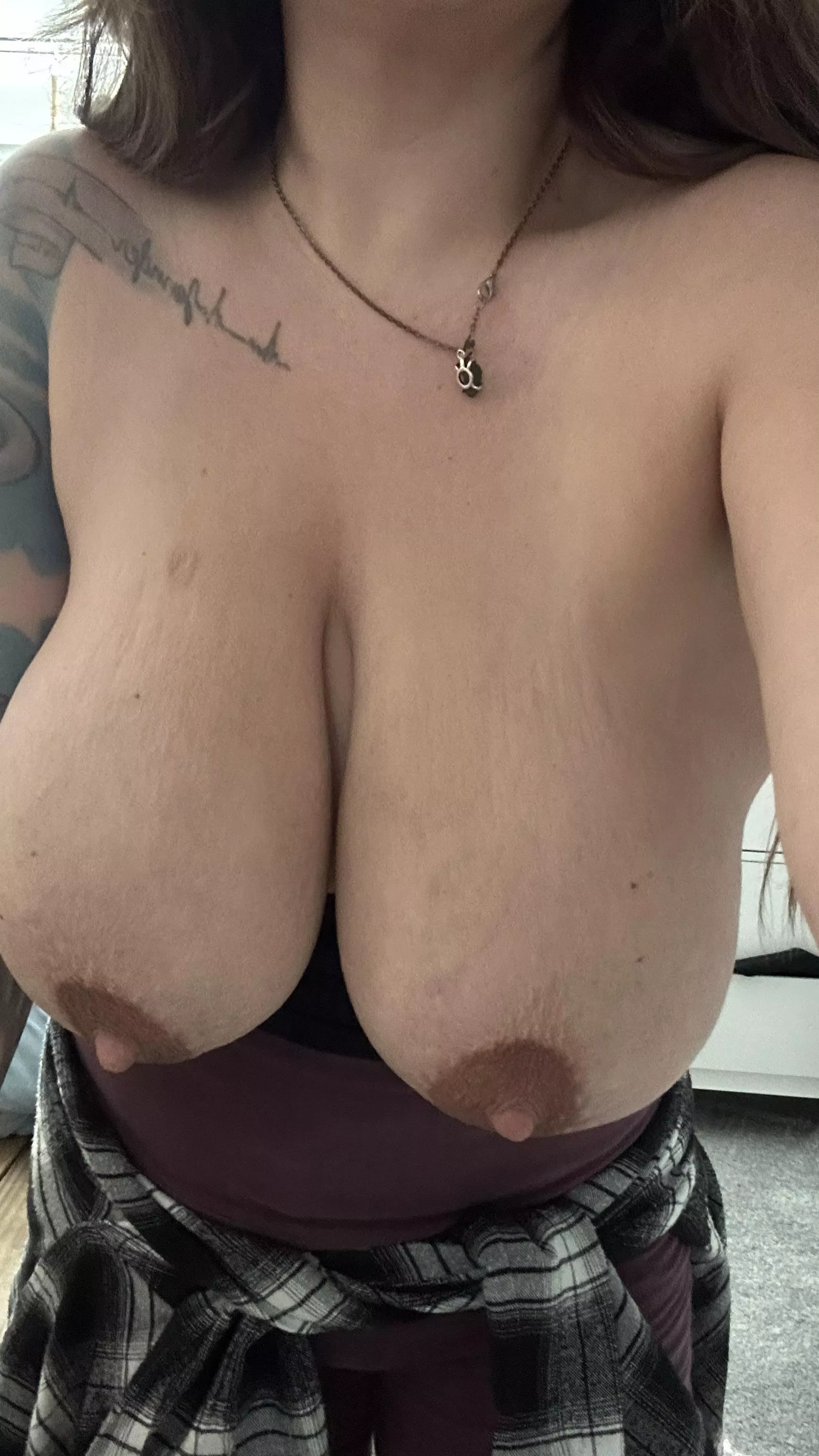 No face needed this time for these big milkers 