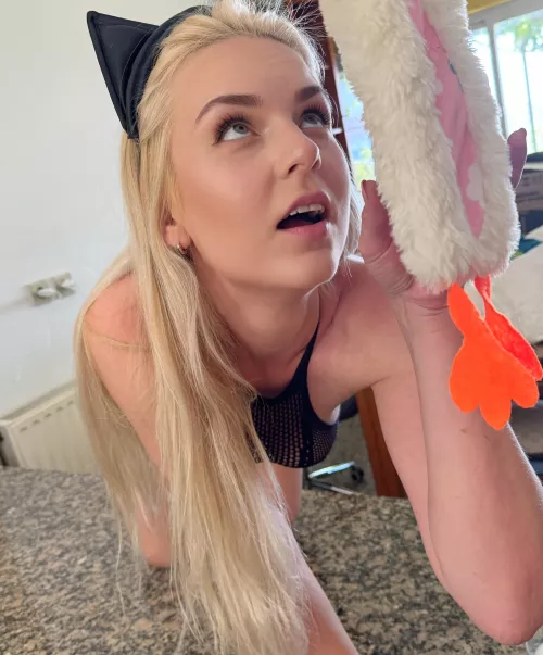 Play with this cute kitten