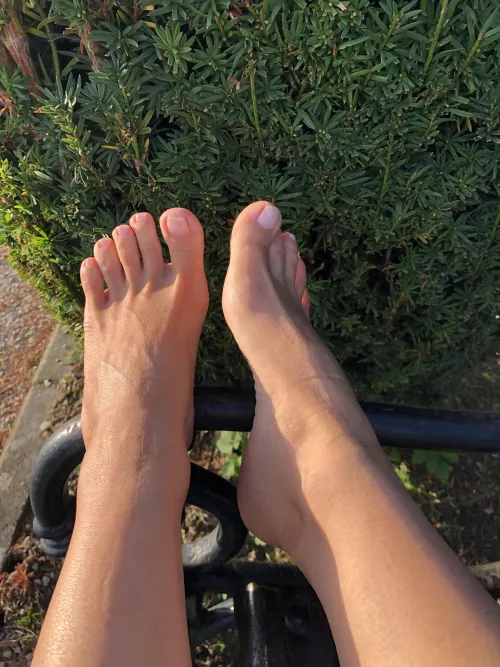 Resting and warming feet in the sun