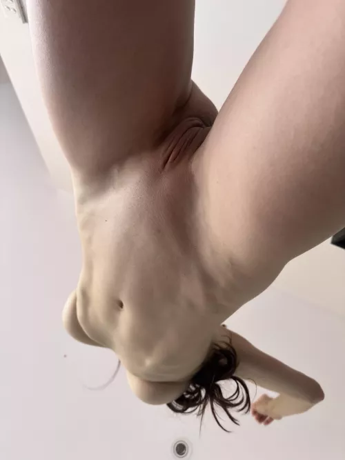 View from the bottom