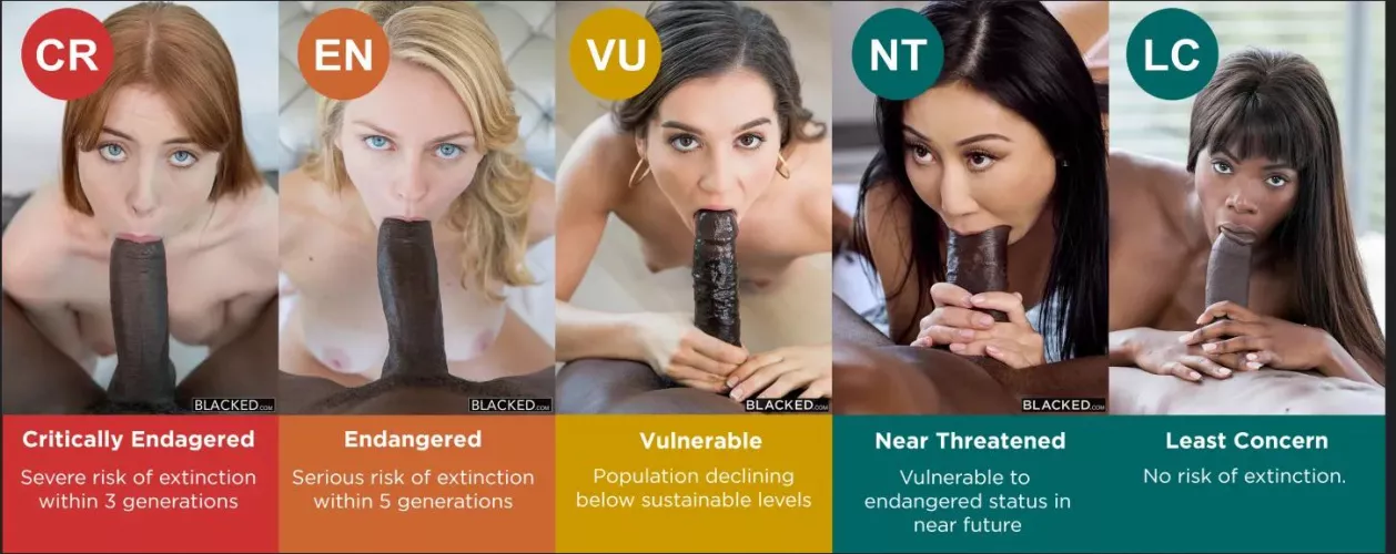 What level are you on the extinction list?