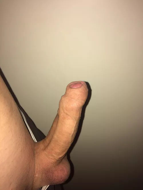 What u think of my perky dick