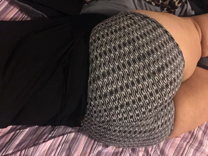 Any women in Michigan I can breed