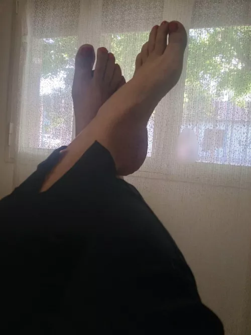 Do you know that you would watch them from afar while my Alpha massages them?