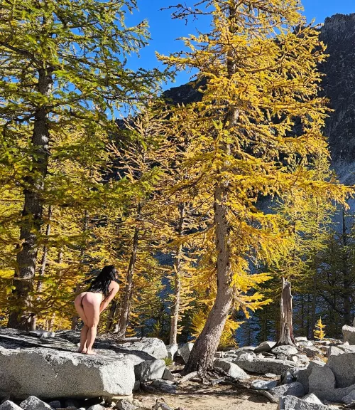 Just getting a closer look at these larches!