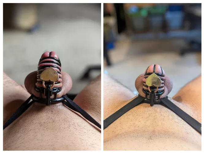 Last Locktober Vs This Years