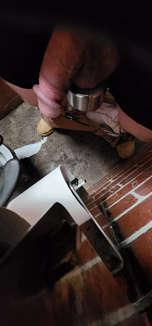 No one will suck it in the dunnies