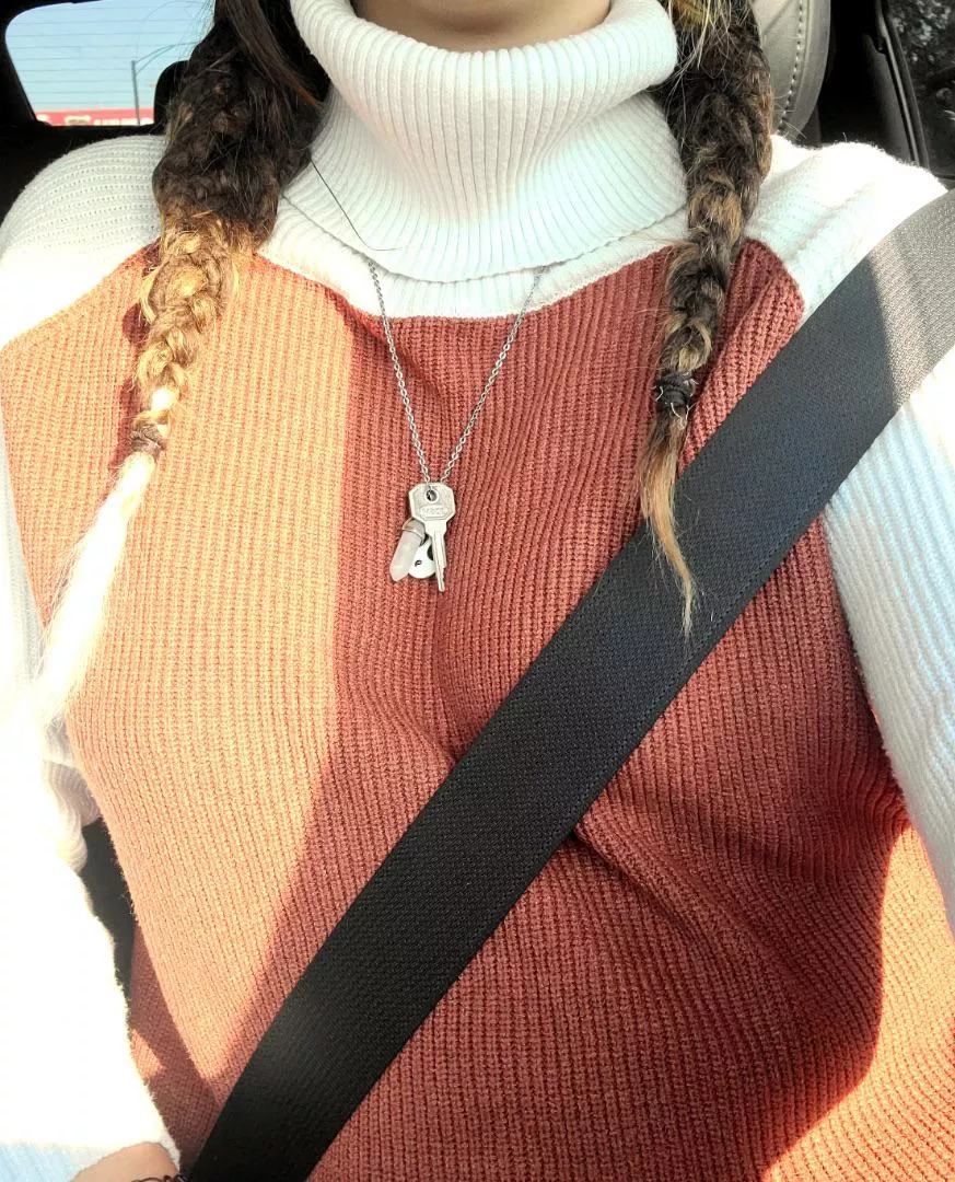 Passenger Princess in control 