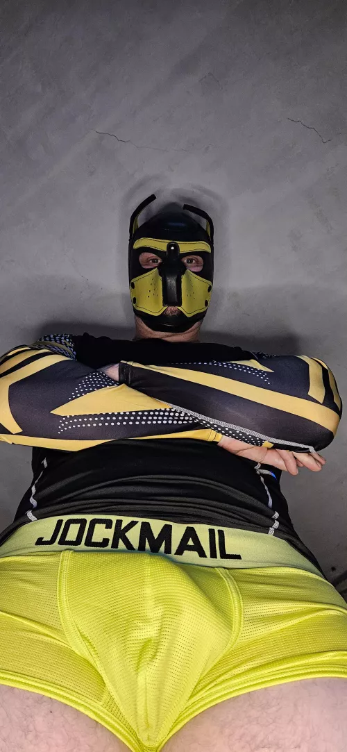 Think Found my alpha side...