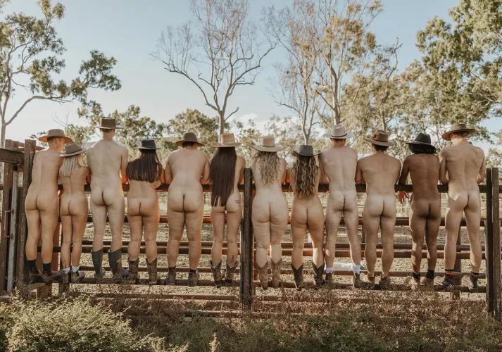 Vets uncovered, more bums