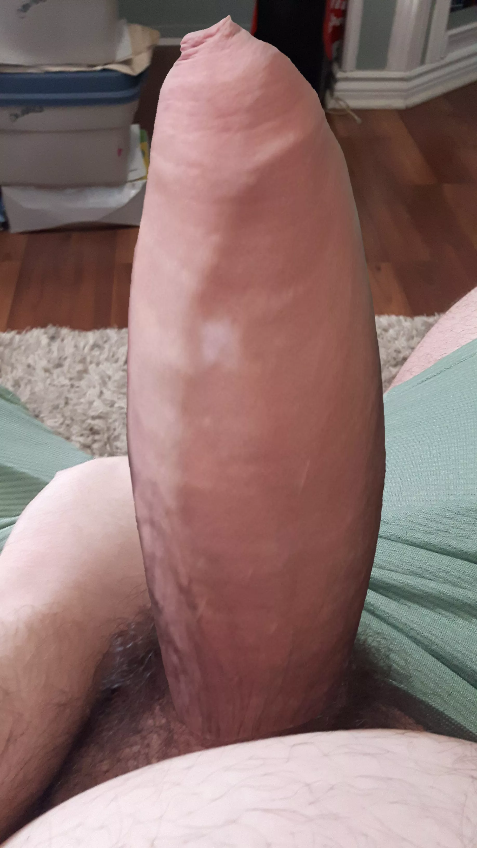 What was in those food?