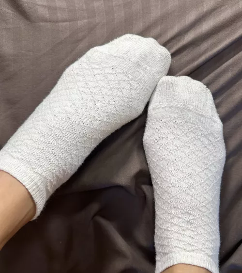 Would you enjoy my feet on your face