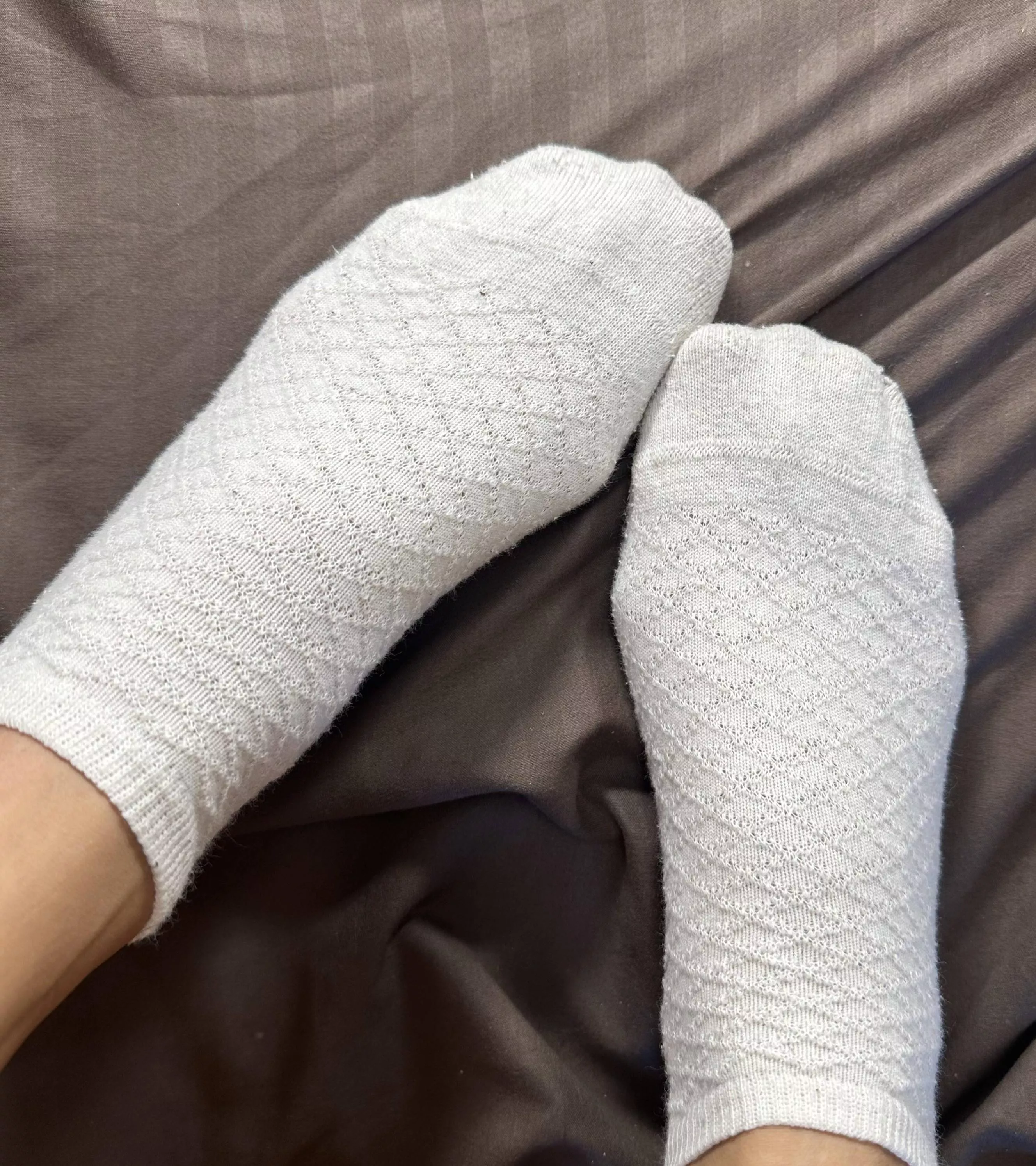 Would you enjoy my feet on your face