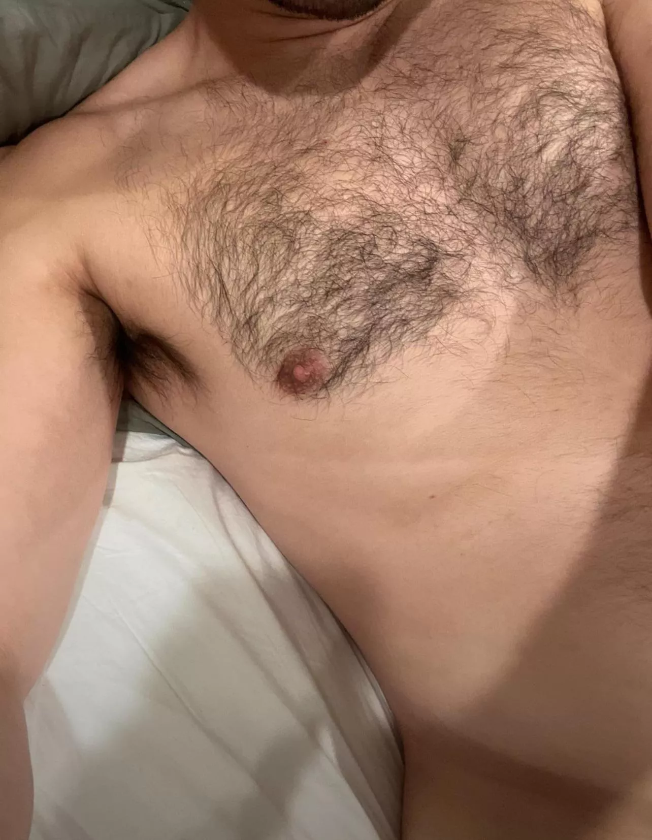 29 fit hairy nmajor892