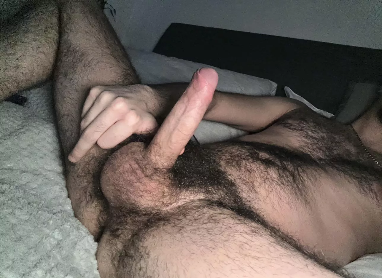 anybody wanna bury their face in my fuzzy manhood?