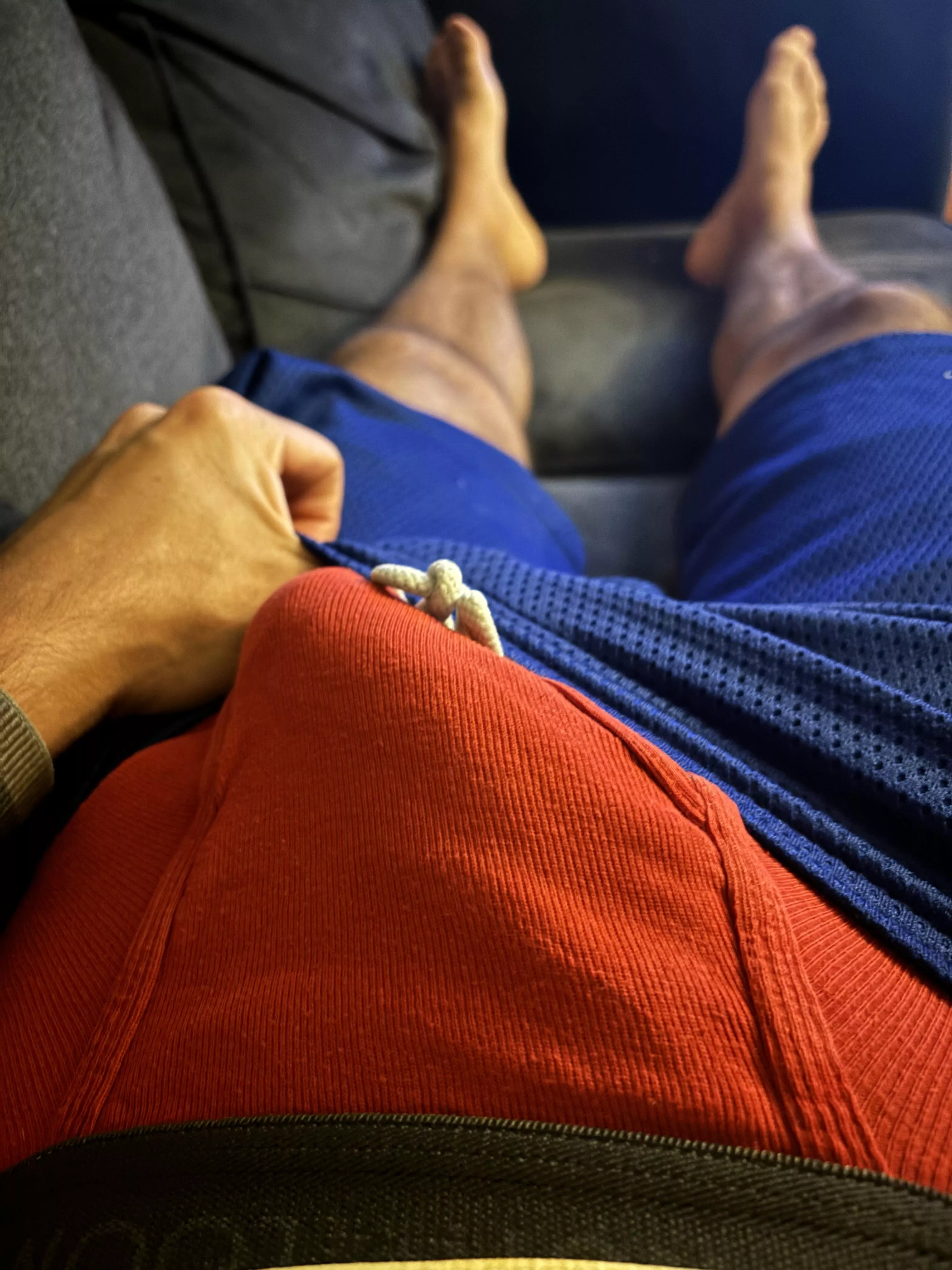 Can you guess how big I am?