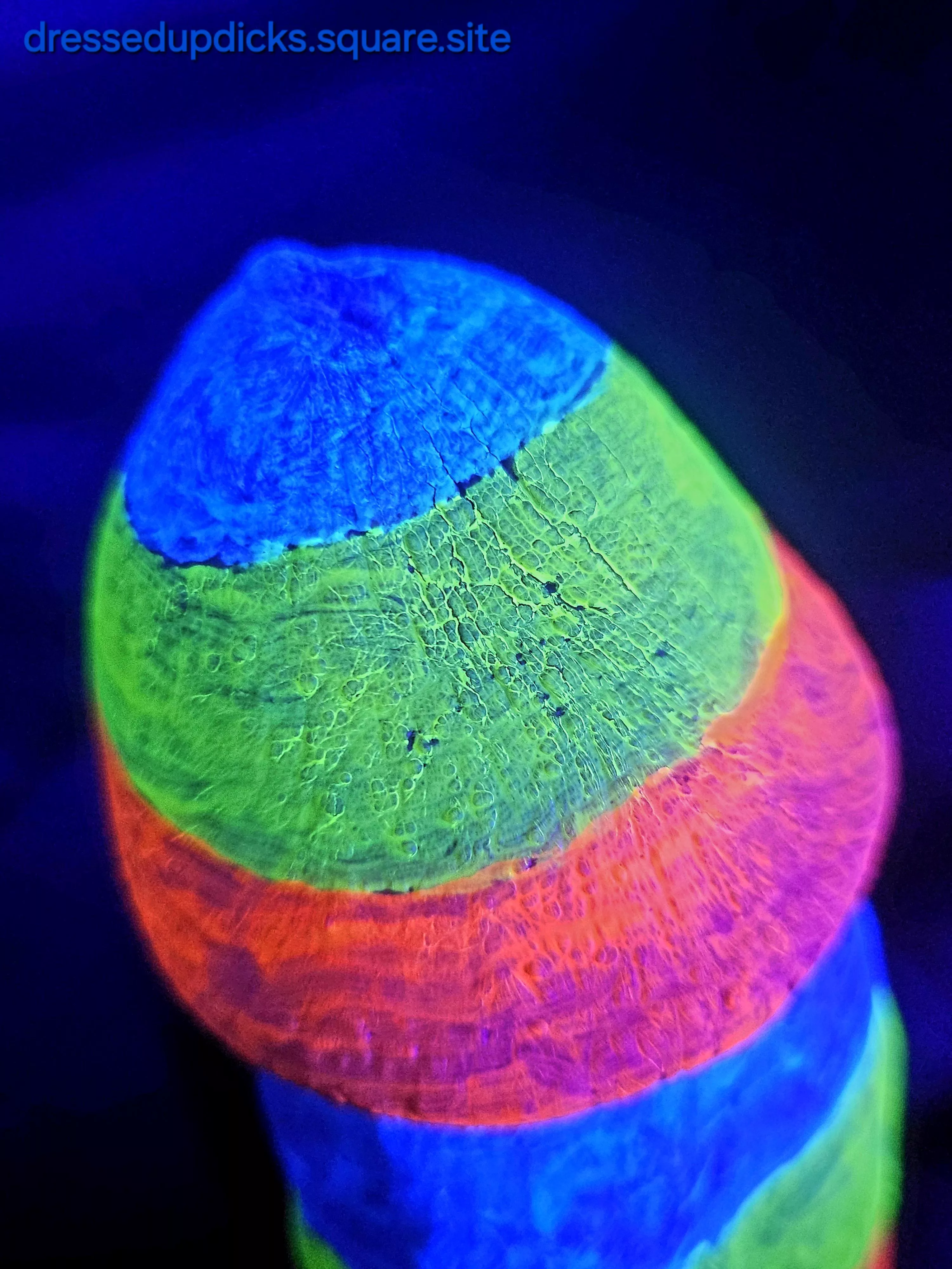 Candy corn anyone? 🎃