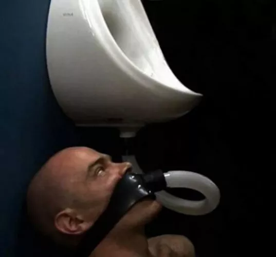 Crystal transparent piss or the yellow concentrated one?