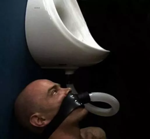 Crystal transparent piss or the yellow concentrated one?