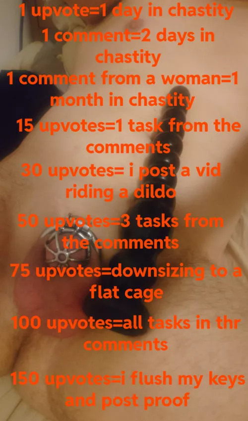 Go hard on me. Upvote