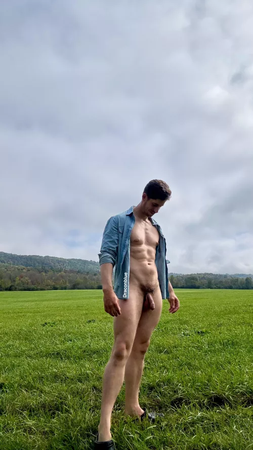 Greener pastures [35]