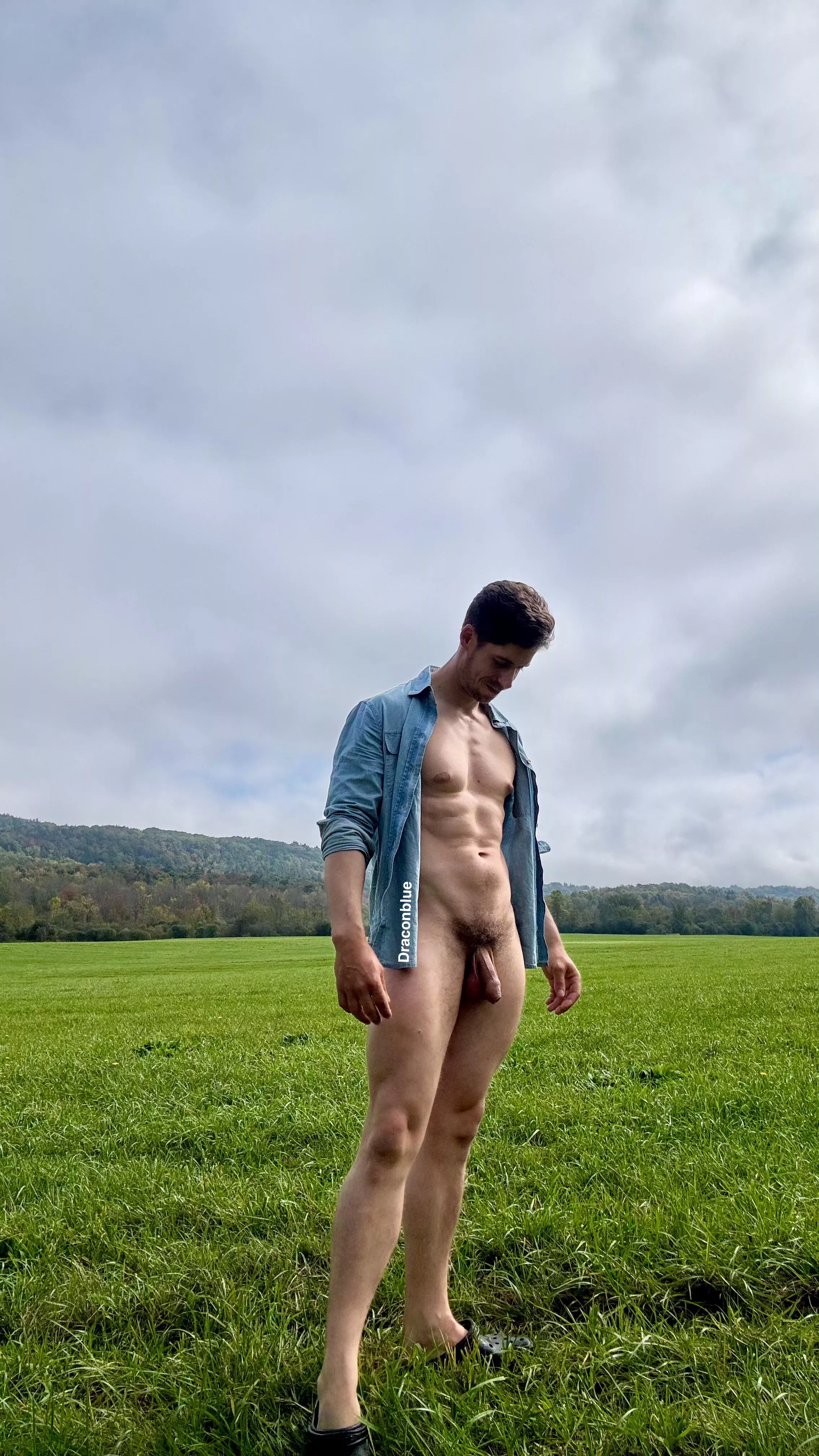 Greener pastures [35]