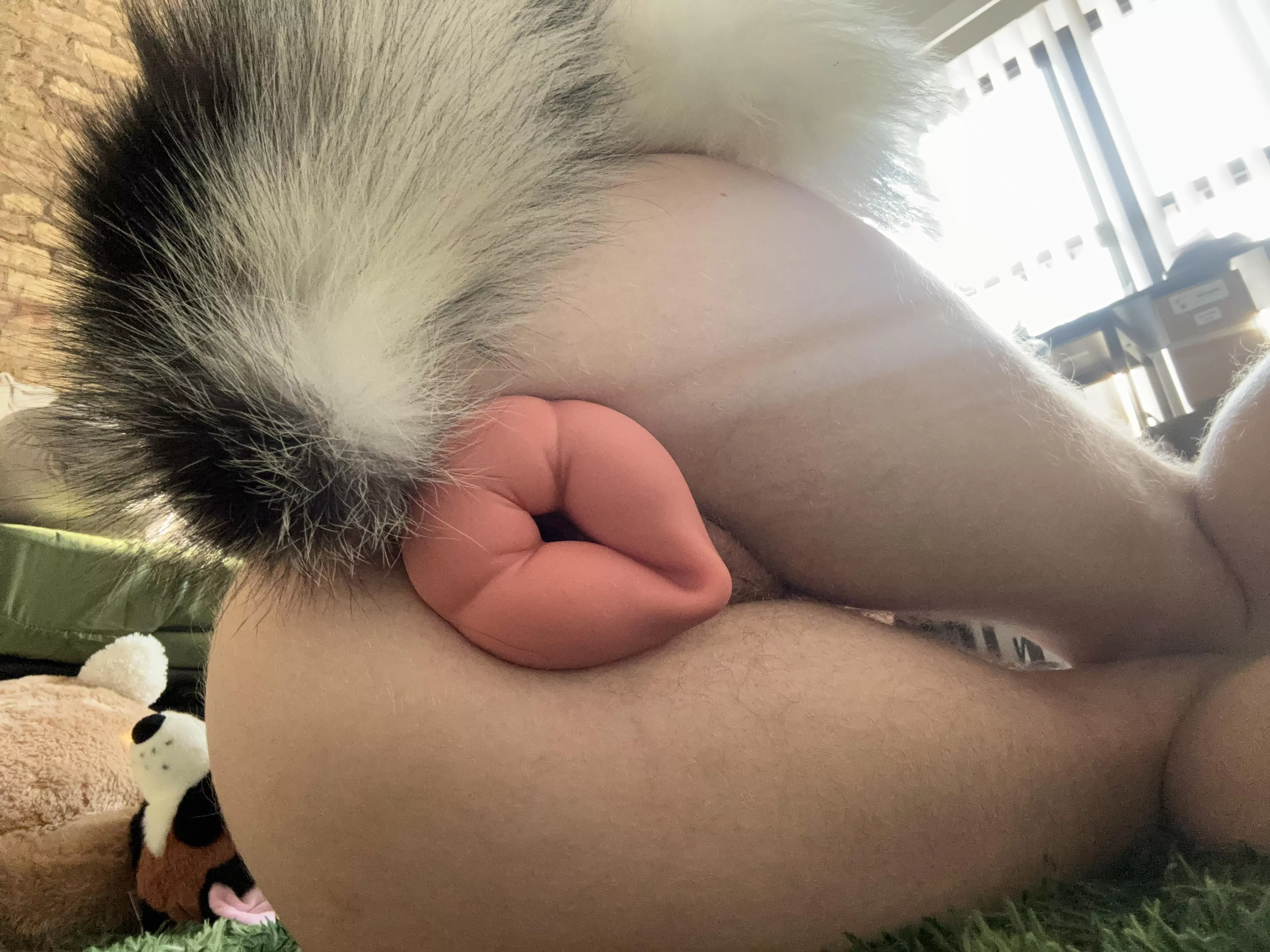 help out the bitch in heat? 